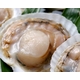 �̳�ƻʮ���ѻ��ۥ����ҳ� 15��