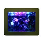 NEW LED Fantasy ANA 