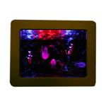 NEW LED Fantasy ANA 