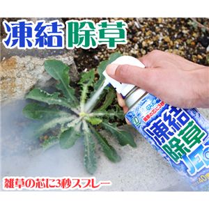 無農薬で安心安全！！ ケイタイエアコン 凍結除草ジェットα 420ml【3本セット】