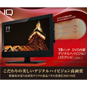 IQ 19 DVD¢ ǥϥӥLEDƥ IQ-19DVD