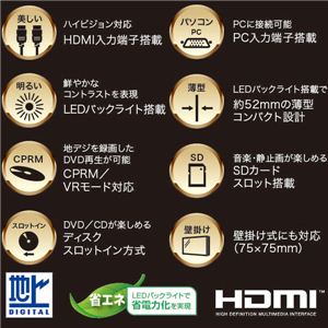 IQ 19 DVD¢ ǥϥӥLEDƥ IQ-19DVD2