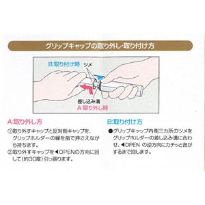 ԥ ץʥɥ顼6