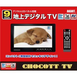 9インチ 地上デジタルTV AK-FTV9000 - 拡大画像
