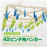 42Pピンチ角ハンガー