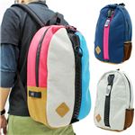メガジップデイバッグ ZIPZAK グレー