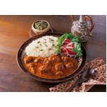 世界のカレーシリーズ・ジャワ風カレー 10食セット