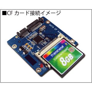 AREA（エアリア） 龍神（RYUJIN） SD-SA1CF-W1