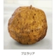 ブラヴィボディミルク - 縮小画像3