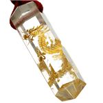 金龍彫りポイントペンダントペンジュラム ケース付