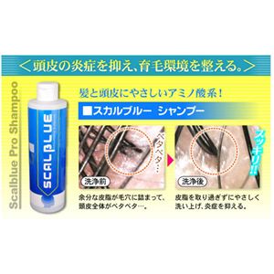 スカルブルー シャンプー&エッセンスセット