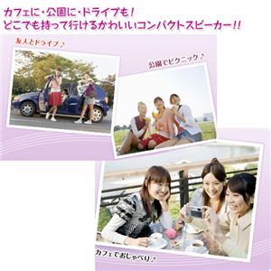 Princetonʥץ󥹥ȥ Хåƥ꡼ܡ륹ԡ PSP-B1 ѡץ2