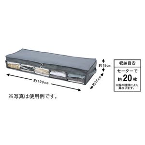 竹炭収納ケース 見える