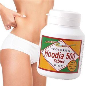 �ա��ǥ���500