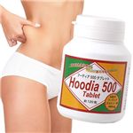 �ա��ǥ���500