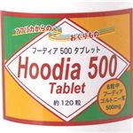 �ա��ǥ���500