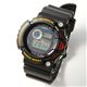 CASIOiJVIj rv G-shock FROGMAN Final Edition GW-200Z-1DR 摜2