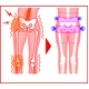 骨盤補正パンツ L〜LL - 縮小画像3