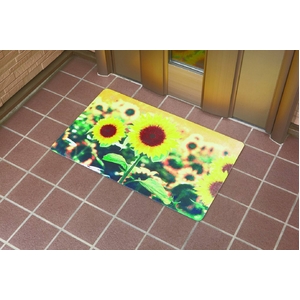 �K���̂Ђ܂�茺�փ}�b�g