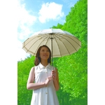 晴雨兼用日傘　ｓｏｙｏ風