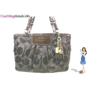 COACH(������) �����꡼ �����ͥ��㡼 �ߥ顼 �ȡ��� �Хå� �֥饦�� 13026