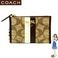 【入荷待ち】
            Coach(コーチ) 小銭入れ ヘリテージ ストライプ ミニ スキニー ブラウン 42376