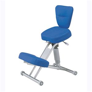 S���`�F�A RBC-002-BL �u���[