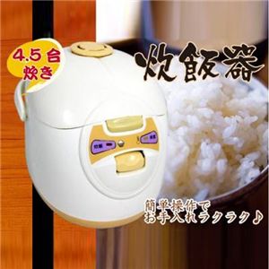 4.5������ ���ъ� CFX-B20-1J