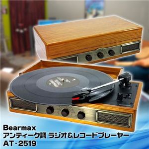 ޥ ƥĴ饸쥳ɥץ졼䡼 AT-2519