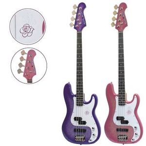 Gypsy Rose(ジプシーローズ) アコースティックギター・セット