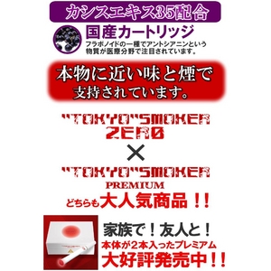 【電子タバコ】トウキョウスモーカー（東京スモーカー）ゼロ TS-ZERO本体＋ケース（黒）セット