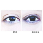 �܂сE���є��e�t�u���o�C�^���b�V���v �摜2