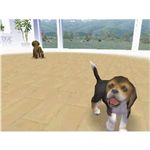 nintendogs _bNX&tY