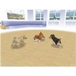 nintendogs `&tY