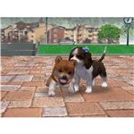 nintendogs &tY