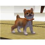 nintendogs &tY