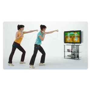 ＥＡ　ＳＰＯＲＴＳ　アクティブ　パーソナルトレーナーＷｉｉ　３０日生活改善プログラム(専用ストラップ&レジスタンスバンド同梱)