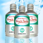 ��ǻ�ٿ��ǿ塡�ߥ饯�륹�ץ�󥰡�12��