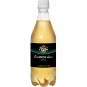 コカコーラ　カナダドライ ジンジャエール　500ml　48本セット