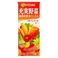 伊藤園 充実野菜 緑黄色野菜ミックス 200ml 48本セット