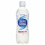 カルピス カルピスソーダ 500ml 48本セット