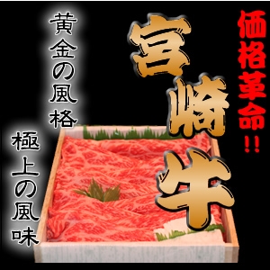 �ܺ���ǹ���(A-5)�����µ� �����Ƥ��Ѥ�� ������