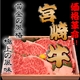宮崎牛最高ランク(A-5)黒毛和牛 サーロイン １キロ - 縮小画像1