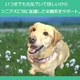 アーテミス・フレッシュミックス ミディアムラージブリード シニア1kg 6才以上の中・大型犬用 - 縮小画像4