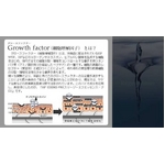 �T�C�g�J�C���O��iEGF�AFGF�AIGF�j�����Z�x�i1ppm�j�Ŕz���������i�����e�t�u�X���[GF�G�b�Z���XPro�v �摜4