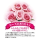 ���ѥե��ߥ٥ӡ� ����������