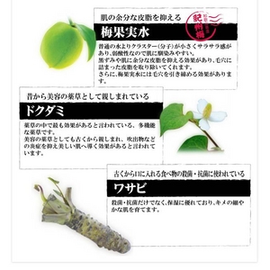 るるか 梅の華 3本セット