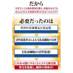 リヴァイヴヘアトニック 2本セット