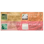 �l�t�t�l �摜4