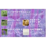 �v�G���� �@���������R�Z�b�g �摜4